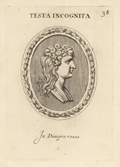 Abraham Blooteling: Bust of an unknown woman with hair in curls