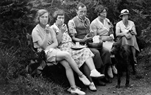 Properly: BUSY EATING AT PICNIC
