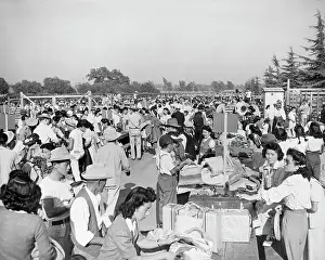 Searching: A busy scene of family groups identifying