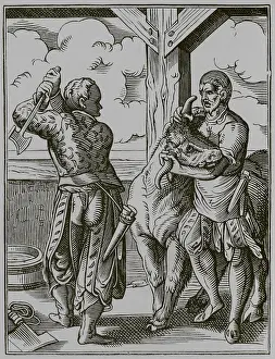 Slaughter: The butcher and his assistant preparing to slaughter