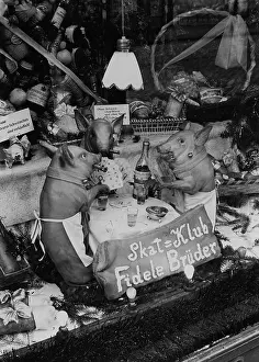 Piglets: Butcher shop, 1932
