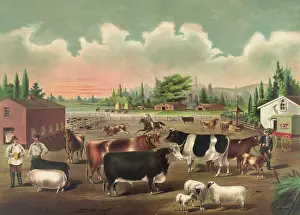 Butchers: Butchers delight