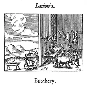 Butchery: BUTCHERY & PRESERVATION