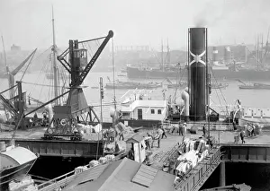 Shad: Butler's Wharf