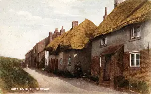 Featured: Butt Lane, Bere Regis, Dorset