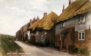 Regis: Butt Lane, Bere Regis, Dorset