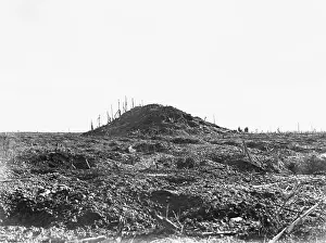 Polygon: The Butt, Polygon Wood