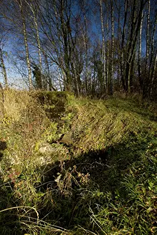 Pushed: Butte de Vauquois - Argonne