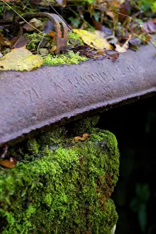 Pushed: Butte de Vauquois - Argonne