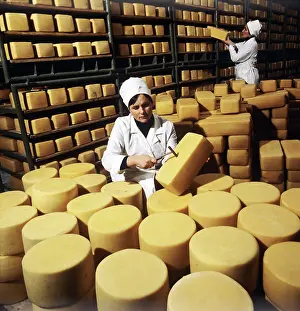 Cheese: Butter and cheese making, 1981