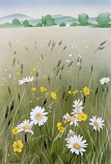 Airbrush: Buttercups and Daisies