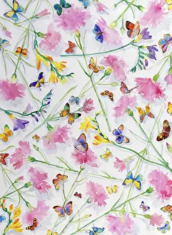 Carnations: Butterflies and Carnations