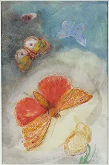 Encyclopedia: Four butterflies and a flower