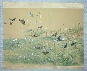 Okyo: Butterflies and Spring Grasses