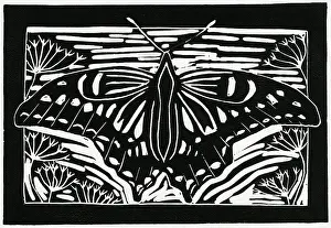 Cuts: Butterfly amidst flowers