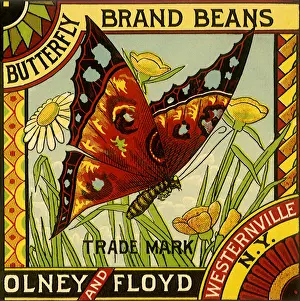 Hovers: Butterfly Bean Label