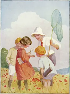 Naturalists: BUTTERFLY CATCHING