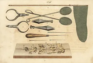 Pauquet: Butterfly collector tools, 19th century