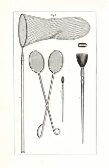 Pauquet: Butterfly collector's tools