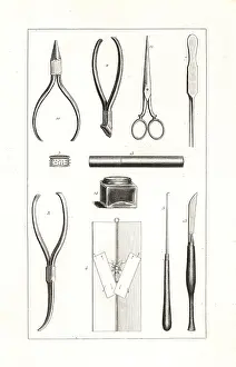 Pauquet: Butterfly collector's tools