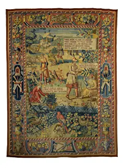 1580: Butterfly Hunt