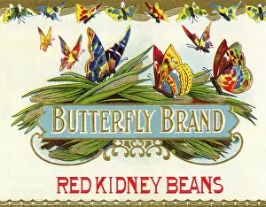 Alighting: Butterfly Label
