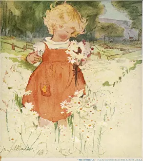 Bunch: The Butterfly by Muriel Dawson