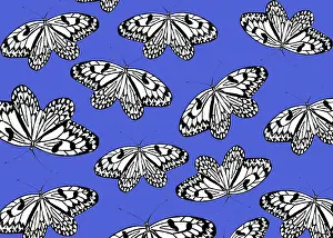 Tess Hines Designs: Butterfly pattern