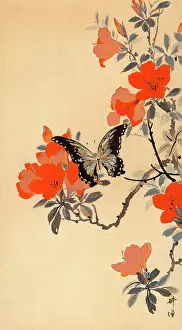 Vivid: Butterfly and red cherry blossoms