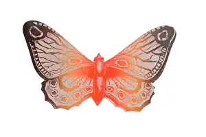 Mccormick: Butterfly shaped advertising flyer