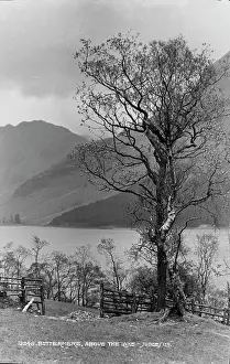 Solitude: Buttermere Above the Lake