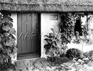 Westmill: BUTTON SNAP COTTAGE