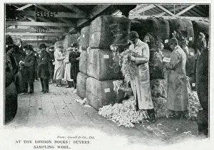 Buyer: Buyers sampling wool at London Docks