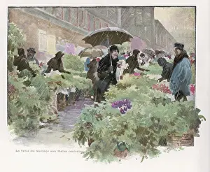 Halles: BUYING DECORATIONS