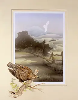 Malcolm Greensmith Collection: Buzzard and countryside landscape