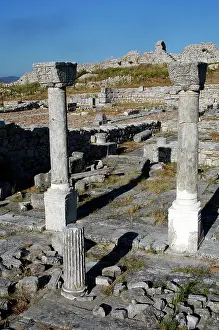 Christians: Byllis Archeological Site. Cathedral. IV century A.C. Republ