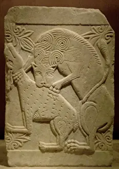 Eleventh: Byzantine relief. Marble slab with a lion devouring a deer