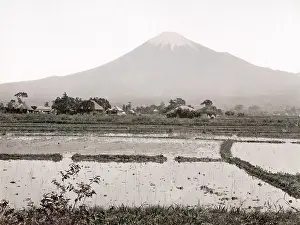 Paddy: c. 1880s Japan - view of Mount Fuji and rice paddy fields