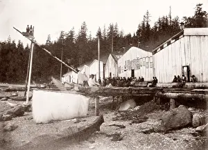 Northwestern: c. 1880s native American, First Nation, Alert Bay, BC Canada