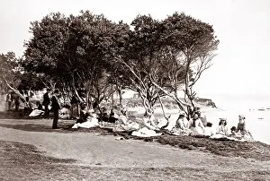Melbourne: c. 1890 Australia - Brighton Beach Melbourne