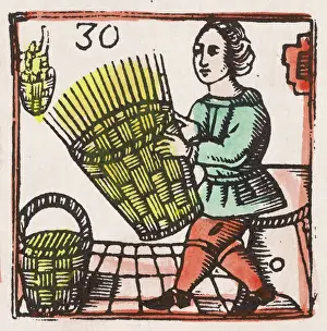 Basketmaking: C17 BASKETMAKING/WOODCUT