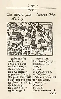 Communities: A C17 CITY
