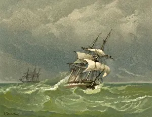 Barque: C19 BARQUE