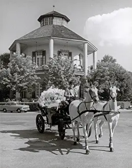 Fiaker: Cab at the Vienna Prater