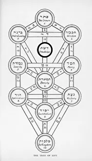 Kabbalah: Cabbala Tree of Life