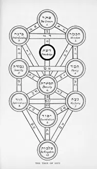 Spelt: Cabbala Tree of Life