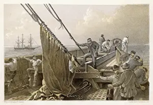 Retrieve: THE CABLE LOST