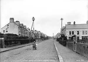 Whitehead: Cable Road, Whitehead, Looking North