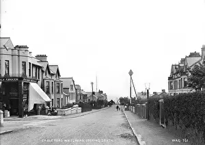 Grocer: Cable Road, Whitehead, Looking South