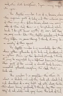 Cabrera: Cabrera-Thomas letter - page 3